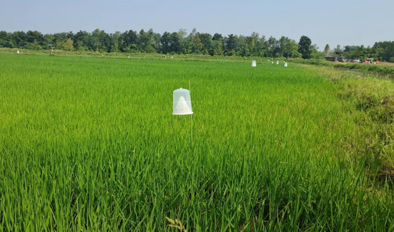 酶標儀在農(nóng)業(yè)與畜牧業(yè)植物病害檢測中的應用研究 酶標儀在農(nóng)業(yè)與畜牧業(yè)植物病害檢測中的應用研究